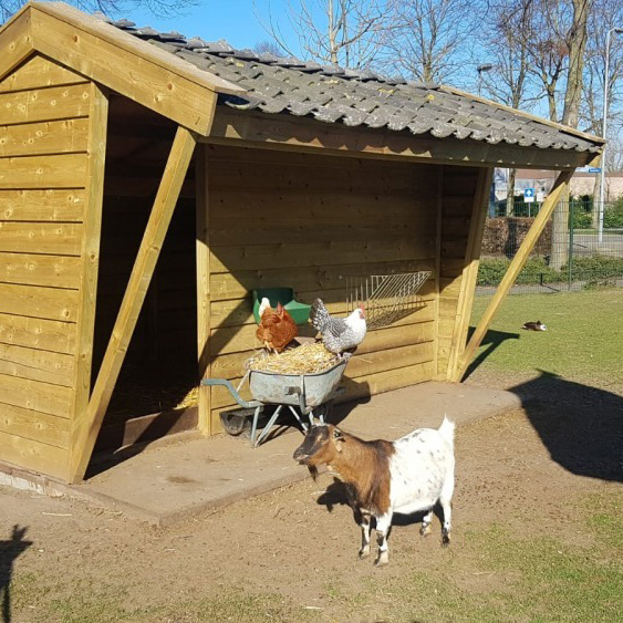 nieuw hok